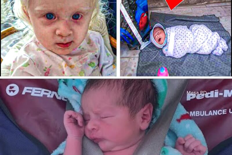 Baby Girl Is Abandoned at Orphanage Doorstep for Her Looks,Proves Her Parents Were Wrong Years Later