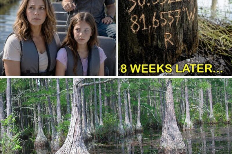 His Wife Vanished With Their Daughter On Vacation — 8 Weeks Later, The Husband Discovered