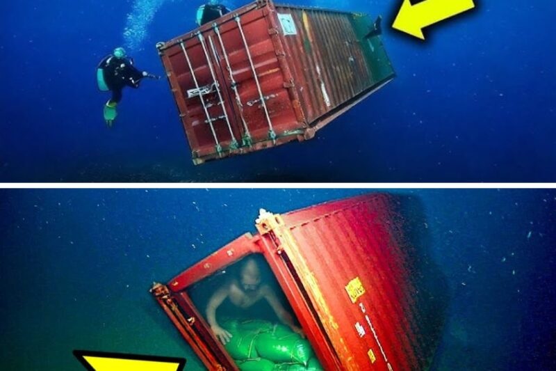 Ship Lost Cargo, Months Later Divers Call The Police, No One Believes What They Found Inside