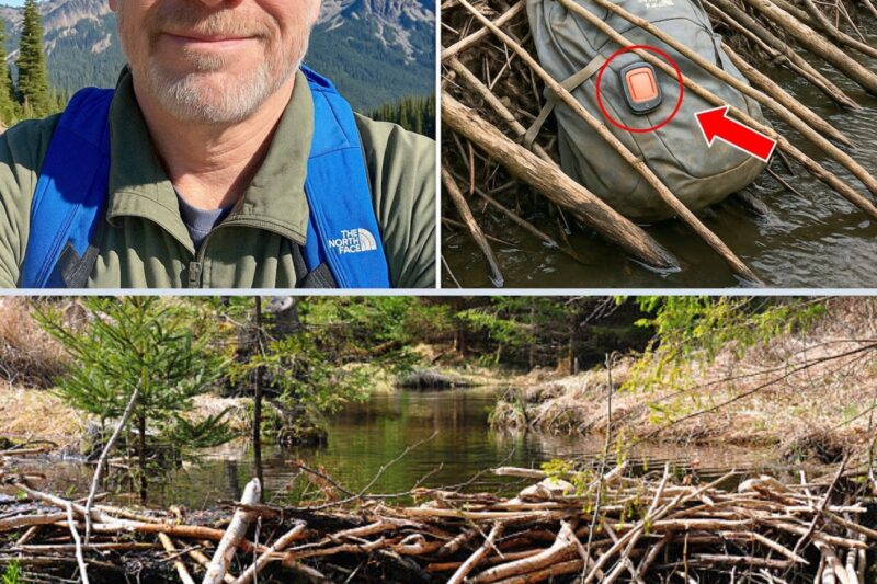 Retired doctor disappears on the mountain – 4 years later they find him in a beaver dam…