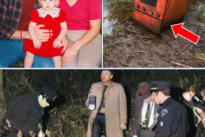 Girl disappeared in 1998 – What they found 3 years later still disturbs investigators to this day…