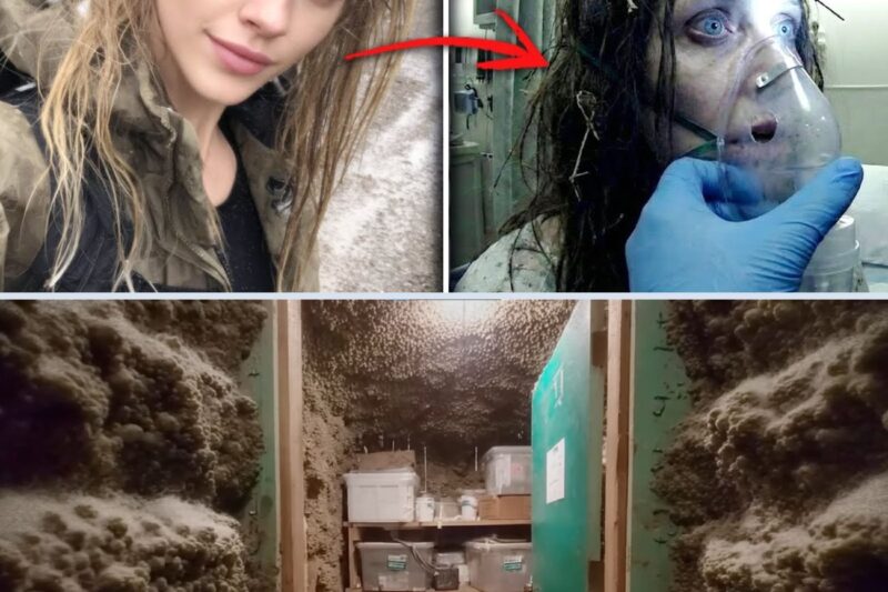 Girl disappeared in the Ozarks – 2 years later she returned mute… When doctors looked in her mouth, they froze in shock.
