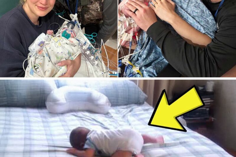 Mother Left Her Child on the Bed For Just a Moment But Then Her Whole Life Changed