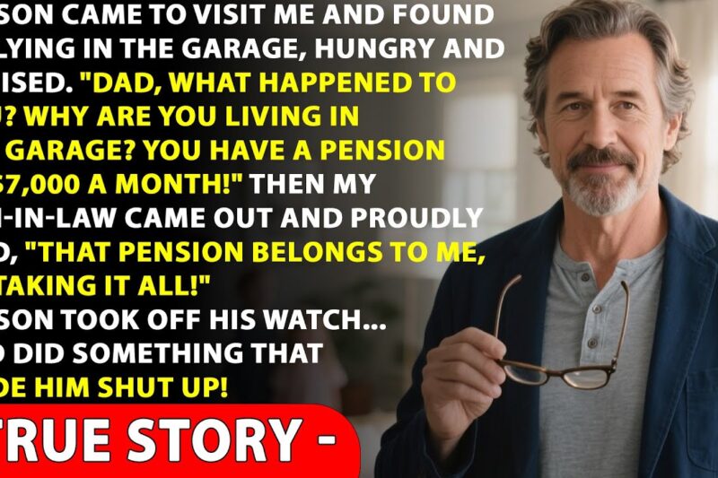 My Son-in-law Was Mocking Me Until My Son Arrived And Did Something That Made Him Shut Up!